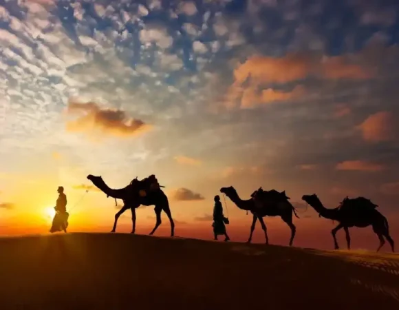 Camel Trekking