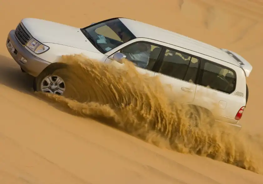 Dubai City Tour & Evening Desert Safari