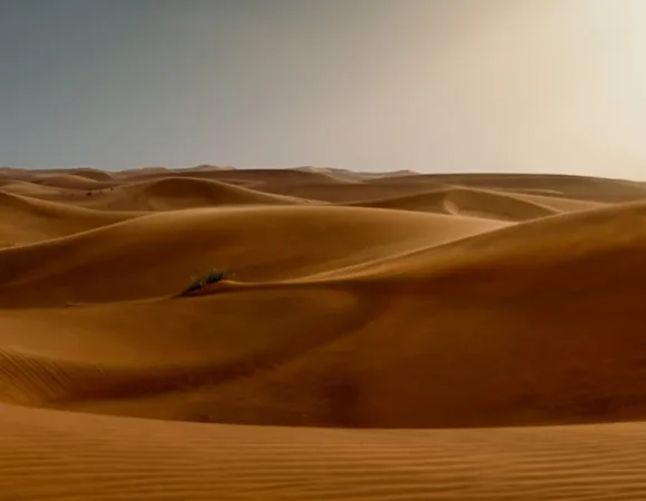 Dubai Evening Red Dune Safari at Lahbab