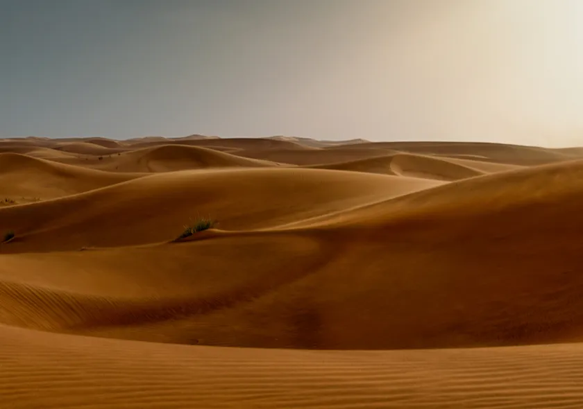 Dubai Evening Red Dune Safari at Lahbab