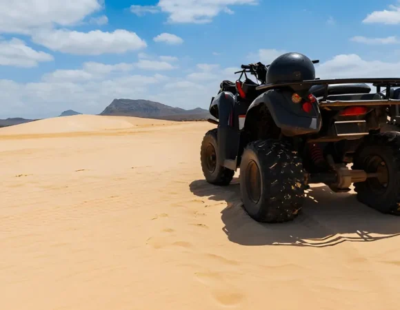 Afternoon Quad Bike Tour (2-Seater)