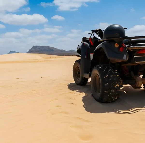 Afternoon Quad Bike Tour (2-Seater)