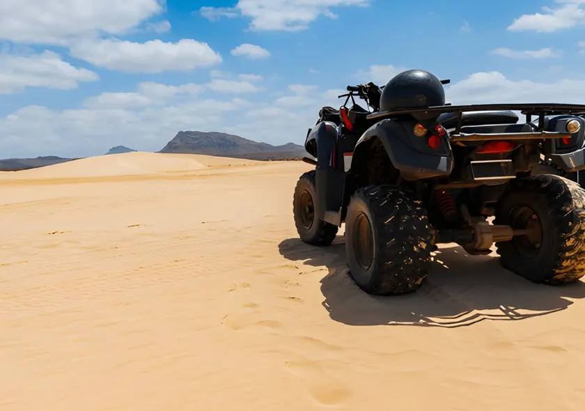 Afternoon Quad Bike Tour (1-Seater)