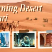 What to Expect on a Morning Desert Safari with Dubai HST